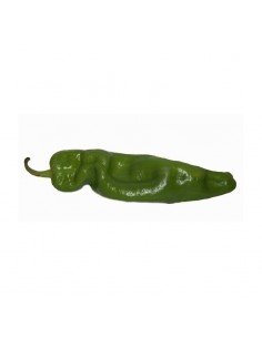 PIMIENTO VERDE ITALIANO BIO 500GR