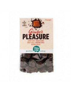 DELICIAS CHOCOLATE CON JENGIBRE BIO 150GR TERRASANA