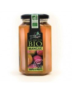 MERMELADA MANGO BIO 300GR DESTINATION