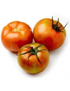 TOMATE ENSALADA BIO 250GR