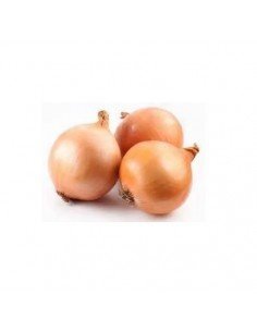 CEBOLLA  BIO 250GR