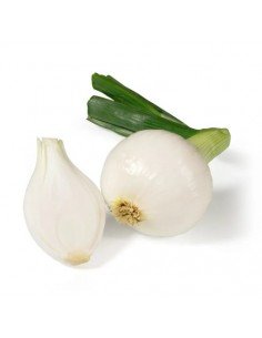 CEBOLLA TIERNA MANOJO BIO