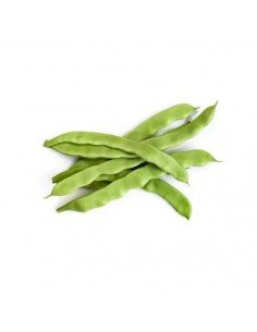 JUDIA VERDE PLANA BIO 250GR
