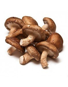 SETA SHITAKE BIO 500GR