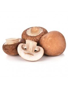 CHAMPIÑON PORTOBELLO BIO 250GR