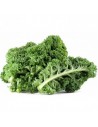 COL CRESPA (Kale) BIO 500GR