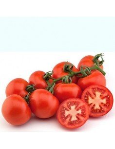 TOMATE RAMA BIO 500GR