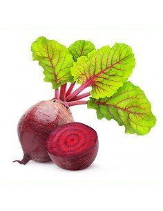 REMOLACHA  BIO 500GR