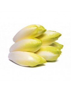 ENDIVIA BIO 500GR