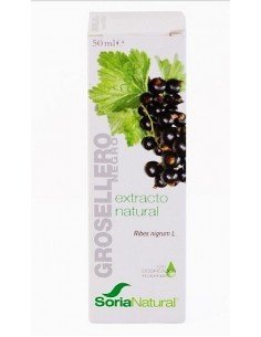 EXTRACTO GROSELLERO NEGRO 50ML SORIA NATURAL