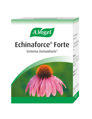 ECHINAFORCE FORTE 30COMP A.VOGEL