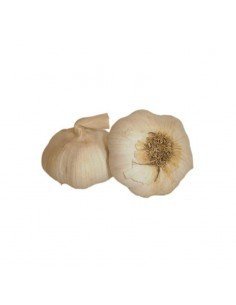 AJO BLANCO 500GR