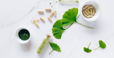 Ginkgo Biloba