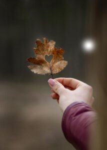 Regalo de la madre naturaleza y de otoño.